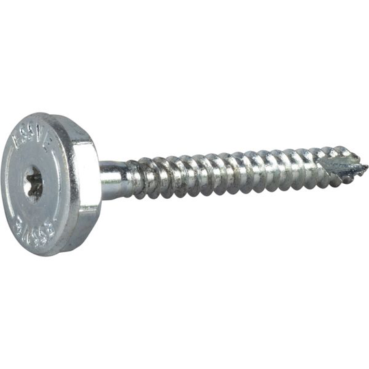 ESSVE 511287 Nivåskruv 7 x 65 mm, FZB, TX30/HEZ20 2-pack