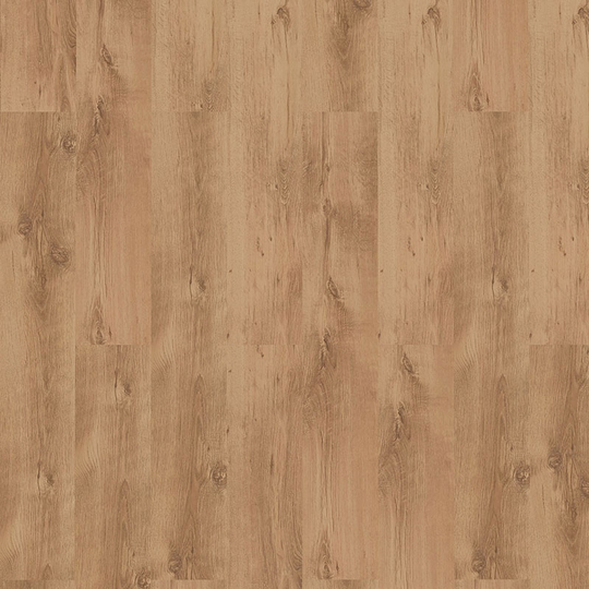 Laminatgolv Sessile Oak